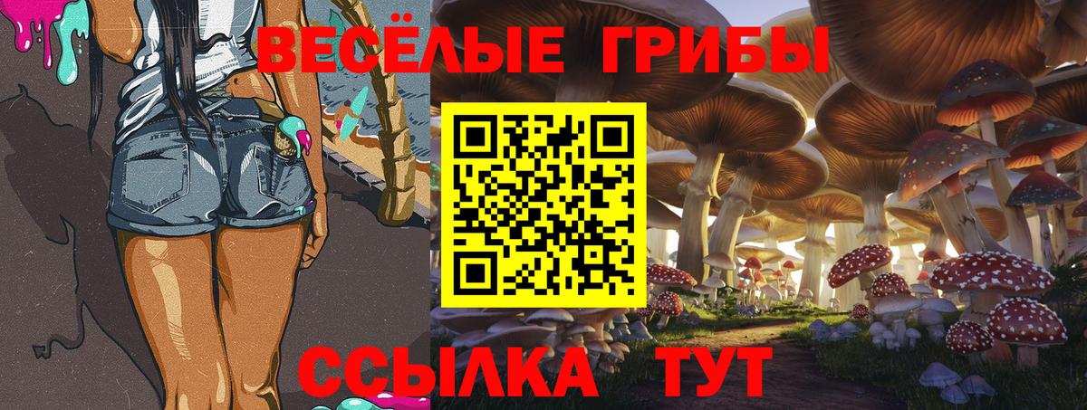 Дербент  Галлюциногенные грибы Cubensis  Галлюциногенные грибы прущие грибы  Вход с VPN 